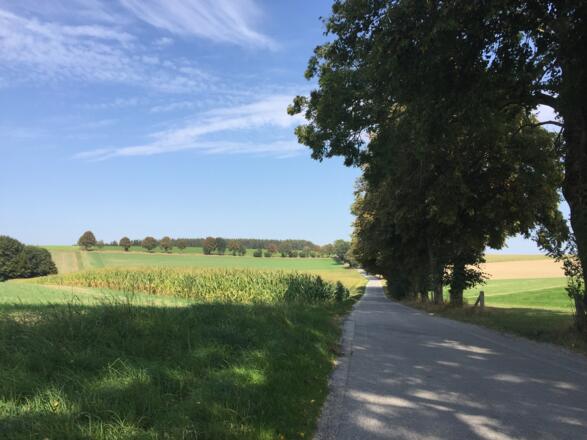 Von Englertshofen nach Kuchenried