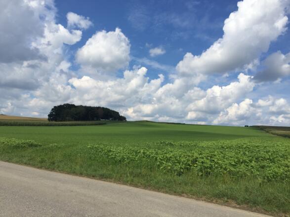 Landschaft bei Schlips