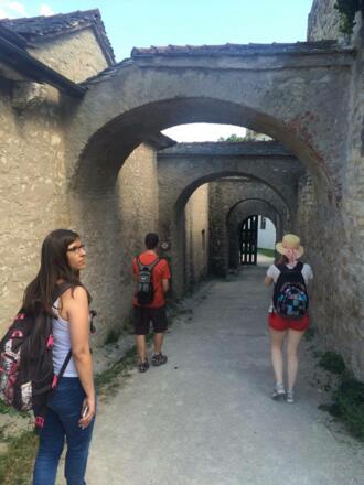 Weg zum botanische Garten