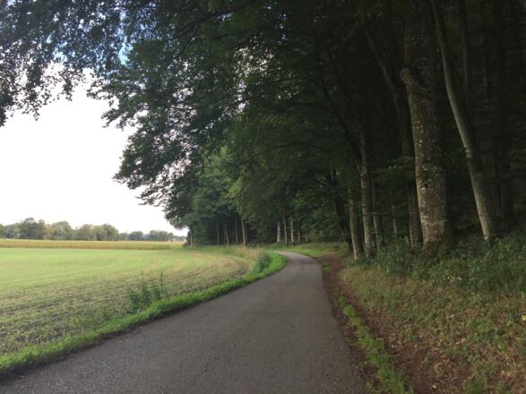 Amperradweg Richtung Tünzhausen