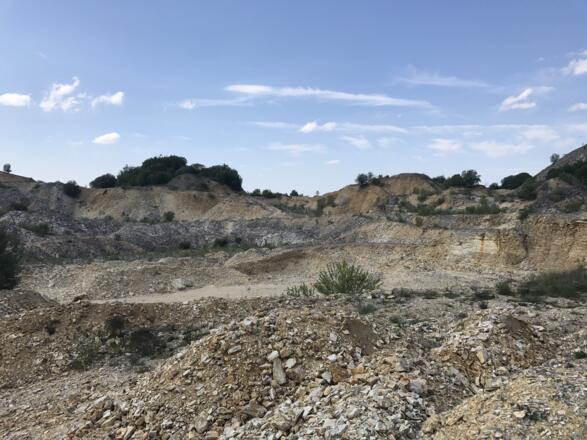 Samstag, 24. Juni 2017, 15:48 Uhr