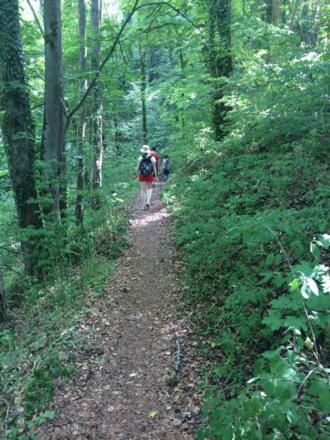 Rückweg von Frauenbergkapelle