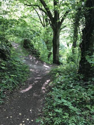 Samstag, 24. Juni 2017, 16:47 Uhr