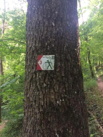 Markierung von Nordic walking park Eichstätt