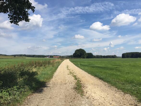 Von Obermarnbach Richtung Glonn