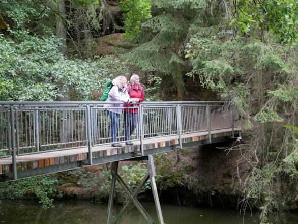 Brücke in der Schwarzachklamm