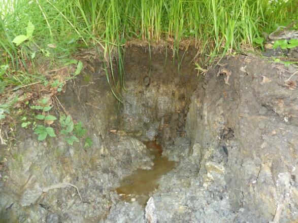 Bodenerlebnispfad Schwarzenbachtal