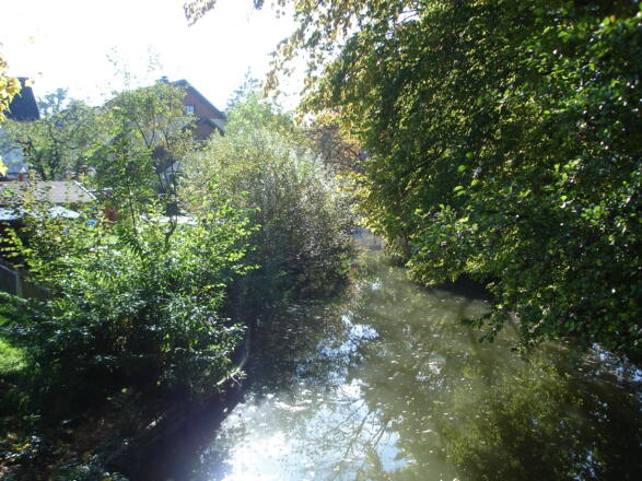 Idyllische Waldbad Tour