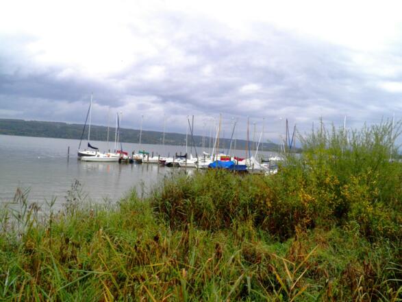 St. Alban: Bootshafen