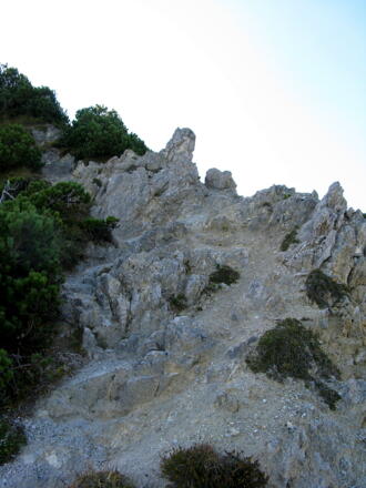 Das &quot;letzte&quot; Schuttkar in der Nordflanke; ab jetzt geht es bequem bergab!