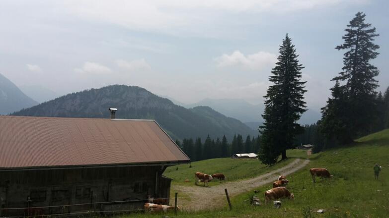 bei der Schönleitenalm