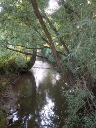 Idyllisch über Bäche