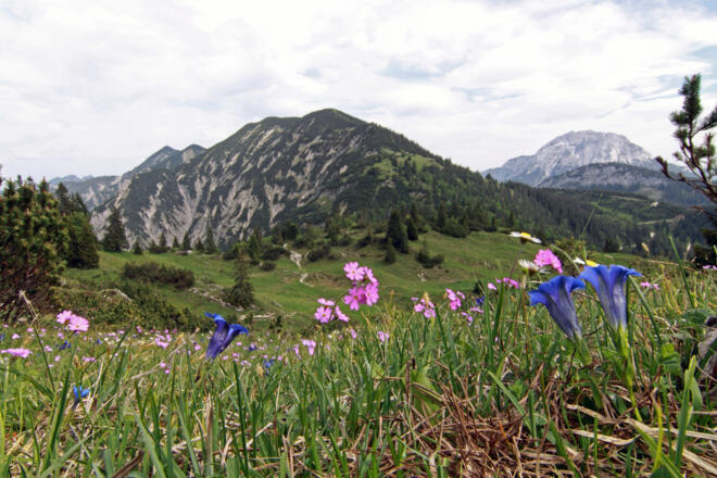 Blick vom Schildensteinsattel zur Blaubergschneid u. Guffert