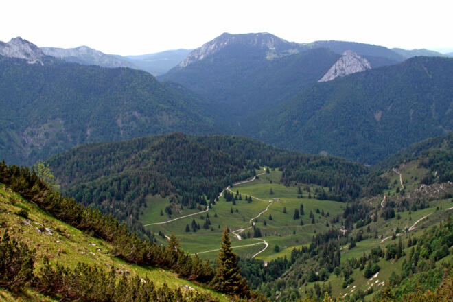 Die Almfläche der Königsalm von der Graseckwand aus