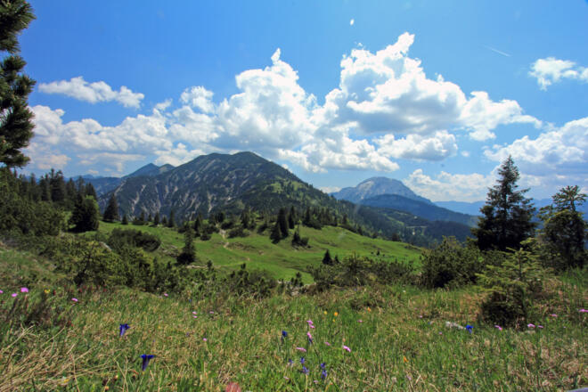 Blick vom Schildensteinsattel zur Blaubergschneid u. Guffert