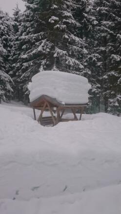 Rodelbahn Buchsteinhütte