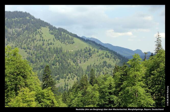 Neuhütte (Alm am Berghang) über dem Wackerbachtal, Mangfallgebirge, Bayern, Deutschland
