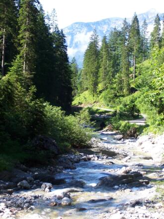 durch das Obere Ampelsbachtal