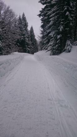 Rodelbahn Buchsteinhütte