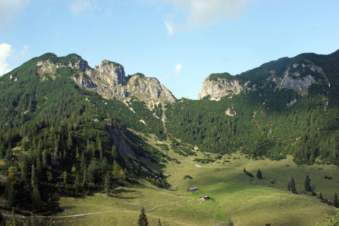 Bayrischer und Österreichischer Schinder