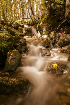 Weg zum Leonhardstein