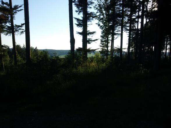 Ausblick vom Richinger Berg