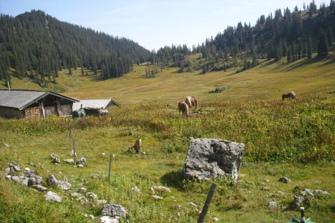 Halserpolje mit Blick auf Sindelsdorfer Alm und Wilder Lochberg