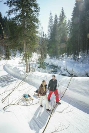 Rodelbahn Buchsteinhütte-Schwarzentenn