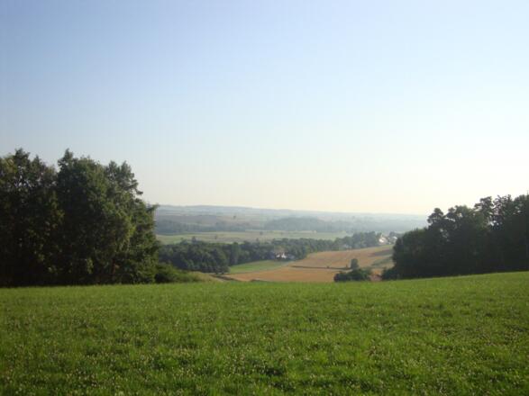 Waldwanderweg mit Aussicht