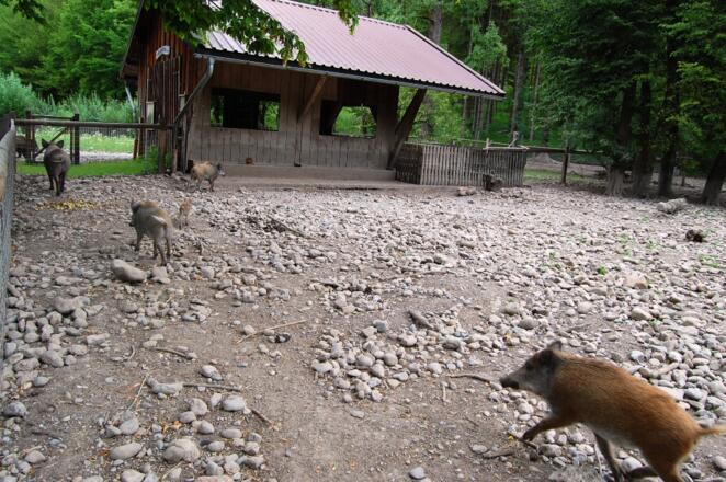 vorbei an kleinem Zoo