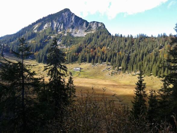 RAMSAR-Gebiet Bayerische Wildalm mit Halserpolje
