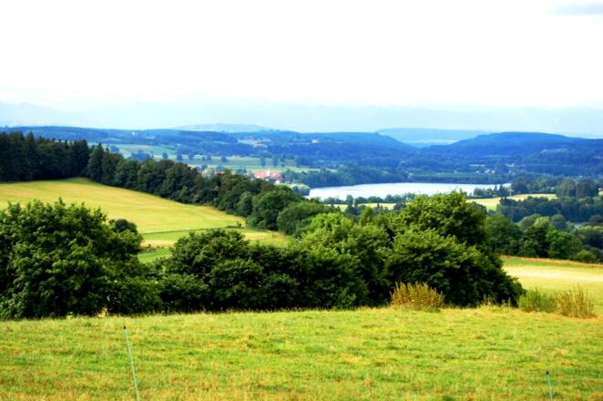ein  Blick auf den Weg voraus
