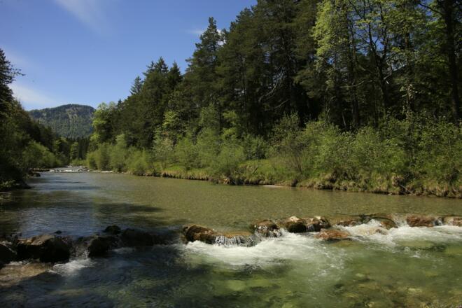 Weißachau bei Kreuth