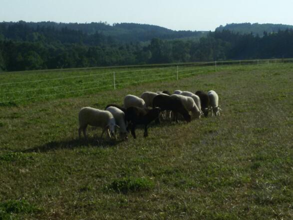 Am höchsten Punkt der Tour