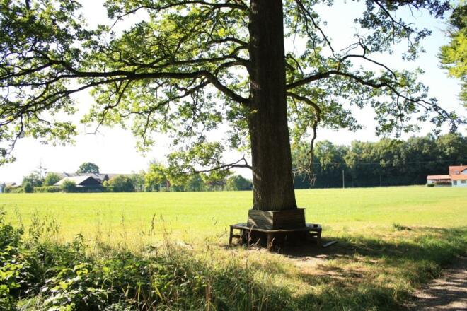 Wanderweg B3, Rastplatz gleich am Beginn der Tour
