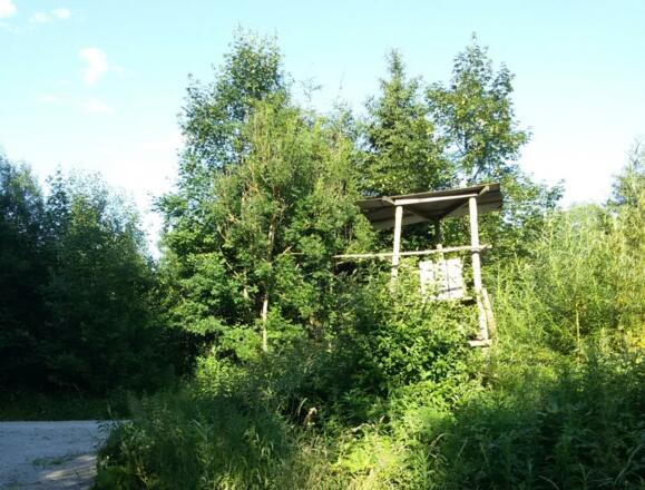 Abzweig am Hochstand. Hier rechts abbiegen (links gehts nach Kaltenbach)