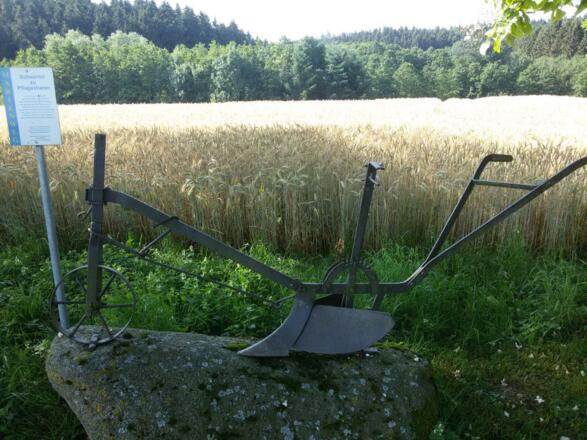 Pflugschar statt Schwerter
