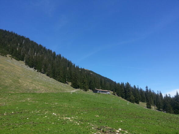 an der Schönleitenalm