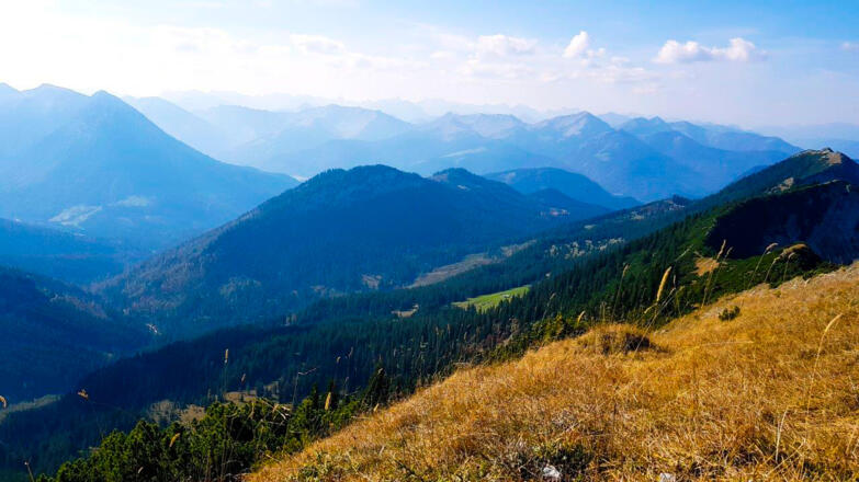 Halserspitze Blick zum Achensee