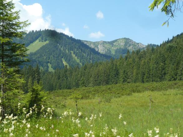 Schwarzentenn Blick in Richtung Kampen