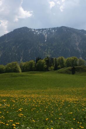 Seeberg von Hochkreuth