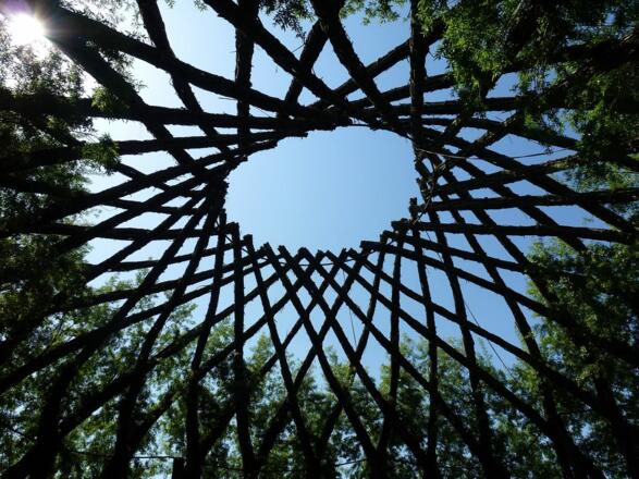 begehbarer Weidenhain in Taufkirchen