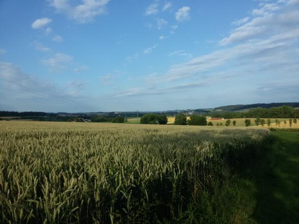 Blick zurück nach Lengdorf