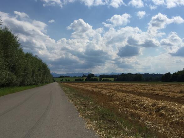 Richtung Polling entlang der Bahn