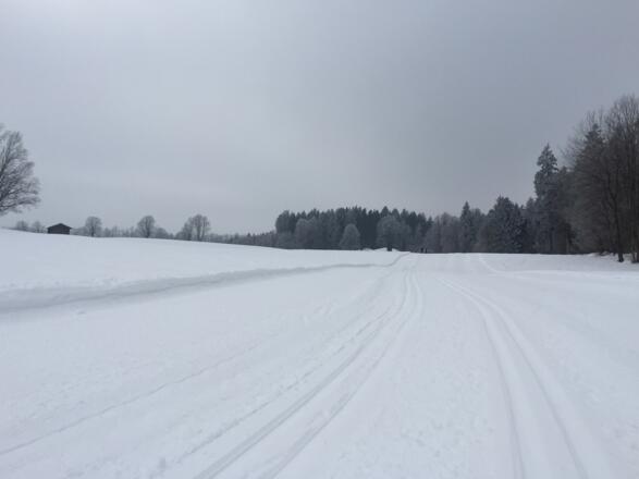 Gleich nach dem Start der erste sanfte Anstieg.