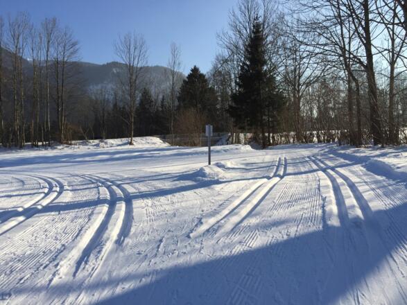 links Sonnenloipe, rechts Verbindungsloipe Kreuth