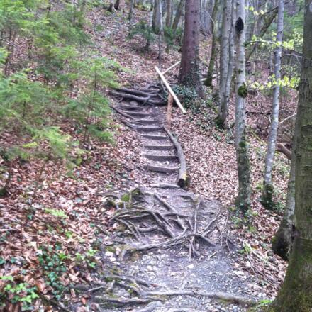 Am Reitnerbach führt ein steiler Pfad bergauf