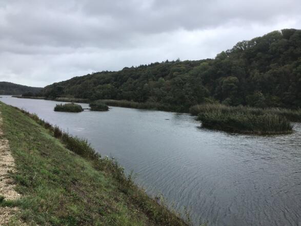 Schleifenroute - Donau bei Neuburg