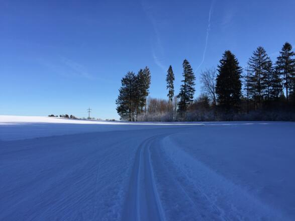 Kurze flache Runde, hier wenden.