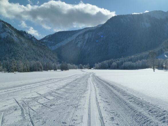 Loipe Mieseben Segelflugplatz